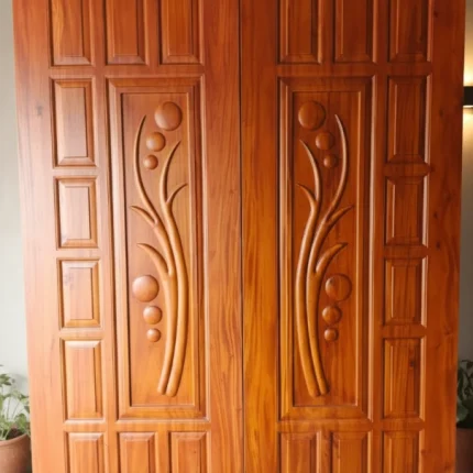 ডাবল দরজা